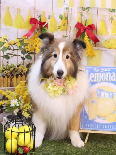 20240429サニーくん